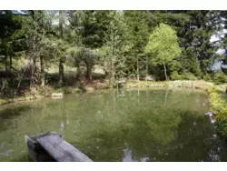 Bild zur gratis inserierten Ferienwohnung Ferienhaus-465346.