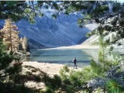 Bild zur gratis inserierten Ferienwohnung Ferienhaus-485381.