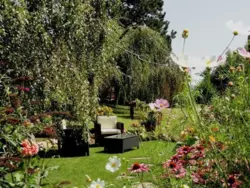 Bild zur gratis inserierten Ferienwohnung Ferienwohnung-747530.