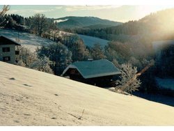 Bild zur gratis inserierten Ferienwohnung Ferienhaus-882996.