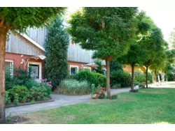 Ferienwohnung Ferienwohnung-1318751 in Haselünne - 2 Personen, Hund nicht erlaubt