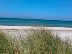 Ferienwohnung Ferienwohnung-1321504 in Neukirchen (Oldenburg-Land) - 6 Personen, Hund erlaubt