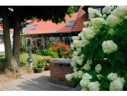 Bild zur gratis inserierten Ferienwohnung Ferienwohnung-1361228.