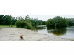 Ferienwohnung Ferienwohnung-1376589 in Marienhafe - 4 Personen, Hund nicht erlaubt