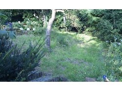 Bild zur gratis inserierten Ferienwohnung Ferienwohnung-1418389.