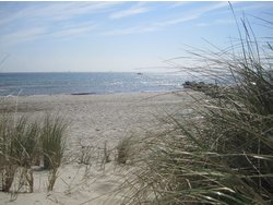 Bild zur gratis inserierten Ferienwohnung Ferienwohnung-1419198.