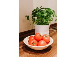 Bild zur gratis inserierten Ferienwohnung Ferienwohnung-1420372.