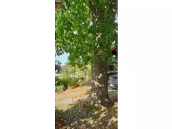 Bild zur gratis inserierten Ferienwohnung Ferienwohnung-1420433.