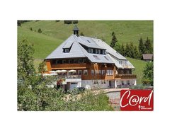 Ferienwohnung Ferienwohnung-1421978 in Todtnau - 5 Personen, Hund nicht erlaubt