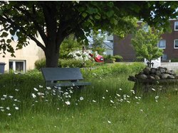 Bild zur gratis inserierten Ferienwohnung Ferienwohnung-1422711.