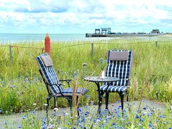 Ferienwohnung Ferienwohnung-1422720 in Wittdün auf Amrum - 2 Personen, Hund nicht erlaubt