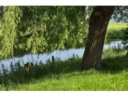 Bild zur gratis inserierten Ferienwohnung Ferienwohnung-1434189.