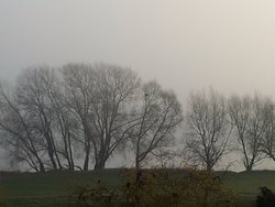 Ferienhaus Ferienhaus-1445909 in Marschacht - 7 Personen, Hund nicht erlaubt