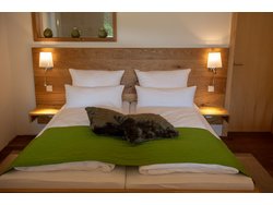 Ferienhaus Ferienhaus-1451252 in Regen - 2 Personen, Hund nicht erlaubt