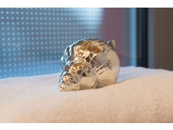 Bild zur gratis inserierten Ferienwohnung Ferienwohnung-1458307.