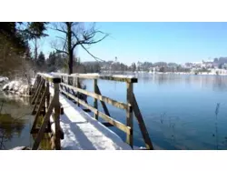 Ferienhaus Ferienhaus-1519037 in Lechbruck a.See - 6 Personen, Hund erlaubt
