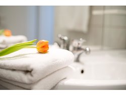 1. Bild zum Ferienhaus Ferienwohnung-1528039.