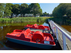 Apartment Apartment-1537135 in Mühbrook - 2 Personen, Hund erlaubt