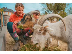 Bild zur gratis inserierten Ferienwohnung Ferienwohnung-1554480.