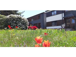 Bild zur gratis inserierten Ferienwohnung Ferienwohnung-1556197.