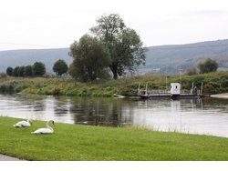 Bild zur gratis inserierten Ferienwohnung Apartment-1558781.