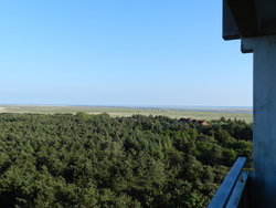 Bild zur gratis inserierten Ferienwohnung Ferienwohnung-1580428.