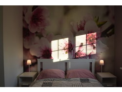 Bild zur gratis inserierten Ferienwohnung Ferienhaus-1599744.