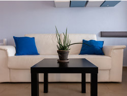 Bild zur gratis inserierten Ferienwohnung Ferienwohnung-1607161.