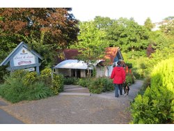 Ferienhaus Ferienhaus-1641122 in Rothhelmshausen - 3 Personen, Hund nicht erlaubt