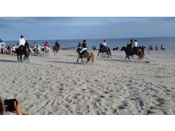 Bild zur gratis inserierten Ferienwohnung Ferienwohnung-1641657.