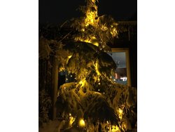 Ferienwohnung Ferienwohnung-1642059 in Osnabrück - 2 Personen, Hund nicht erlaubt