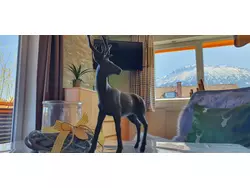 Bild zur gratis inserierten Ferienwohnung Ferienwohnung-1642068.