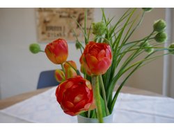 Ferienwohnung Ferienwohnung-1642105 in Pittenbach - 4 Personen, Hund erlaubt