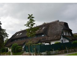 Bild zur gratis inserierten Ferienwohnung Ferienhaus-1642225.