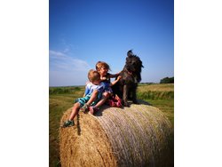 Bild zur gratis inserierten Ferienwohnung Ferienwohnung-1642365.