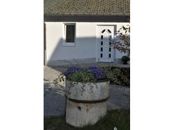 Ferienwohnung Ferienwohnung-1642480 in Schmallenberg - 4 Personen, Hund erlaubt