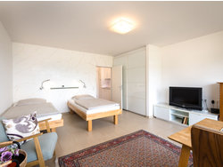 Bild zur gratis inserierten Ferienwohnung Ferienwohnung-1695693.