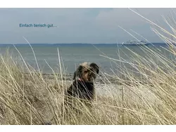 Bild zur gratis inserierten Ferienwohnung Ferienwohnung-1723570.