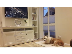 Ferienwohnung Ferienwohnung-1724040 in Hohenaverbergen - 3 Personen, Hund erlaubt