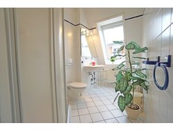 Ferienwohnung Ferienwohnung-1728977 in Bansin - 3 Personen, Hund nicht erlaubt