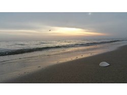 Bild zur gratis inserierten Ferienwohnung Ferienwohnung-1729528.