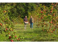 Bild zur gratis inserierten Ferienwohnung Ferienwohnung-1737531.