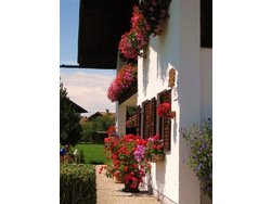 Bild zur gratis inserierten Ferienwohnung Ferienwohnung-1738032.