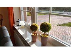 Ferienhaus Ferienhaus-1738124 in Berumbur - 6 Personen, Hund erlaubt