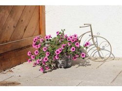 Bild zur gratis inserierten Ferienwohnung Ferienwohnung-1738423.