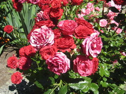 Bild zur gratis inserierten Ferienwohnung Ferienwohnung-1739007.