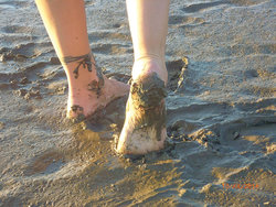 Bild zur gratis inserierten Ferienwohnung Ferienwohnung-1740821.