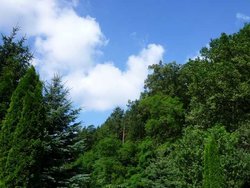 Ferienwohnung Ferienwohnung-1741315 in Bad Berka - 2 Personen, Hund nicht erlaubt