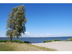 Bild zur gratis inserierten Ferienwohnung Ferienwohnung-1742428.