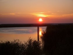 Bild zur gratis inserierten Ferienwohnung Ferienhaus-1742631.